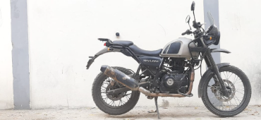 HIMALAYAN