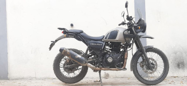 HIMALAYAN