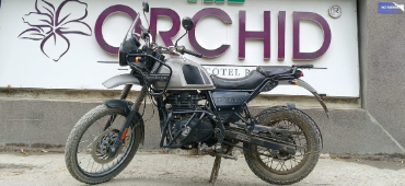 HIMALAYAN