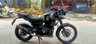 HIMALAYAN